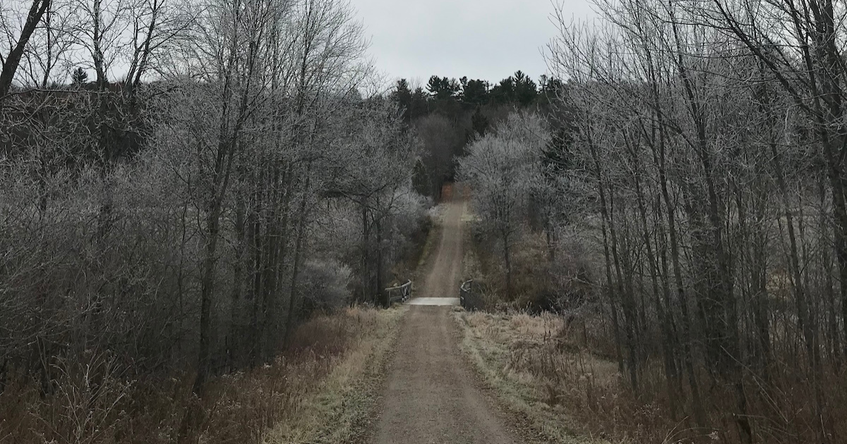 A frosty dirt road between leafless trees under an overcast sky.